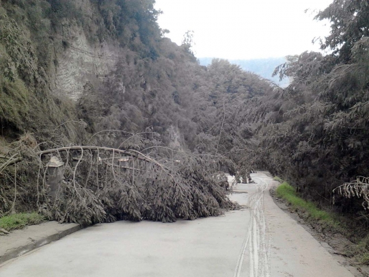 Menengok kawasan wisata Gunung Bromo terus dihujani abu vulkanik