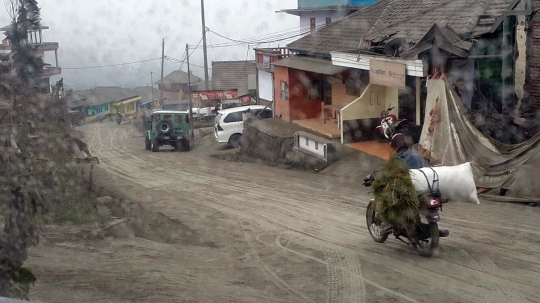 Menengok kawasan wisata Gunung Bromo terus dihujani abu vulkanik