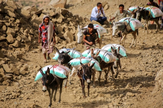 Kisah unta dan keledai jadi andalan warga Yaman saat hindari perang