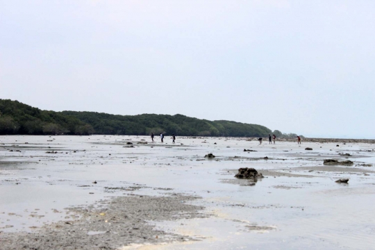 Keindahan Pantai Kutang yang namanya bikin pengujung penasaran