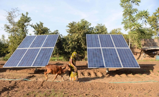 Kisah petani di India manfaatkan energi surya untuk irigasi