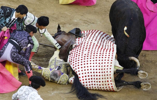 Penyelamatan dramatis Picador di tengah amukan banteng