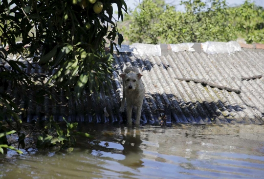 Banjir seatap rendam puluhan ribuan rumah di Paraguay