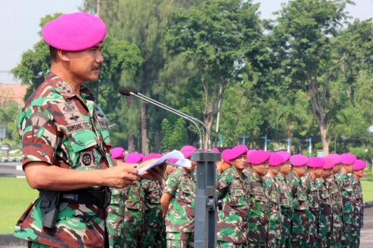 Keluarga sambut kedatangan 96 pasukan TNI penjaga perdamaian Lebanon