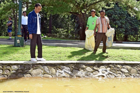 Presiden Jokowi sebar ratusan katak di Istana Bogor