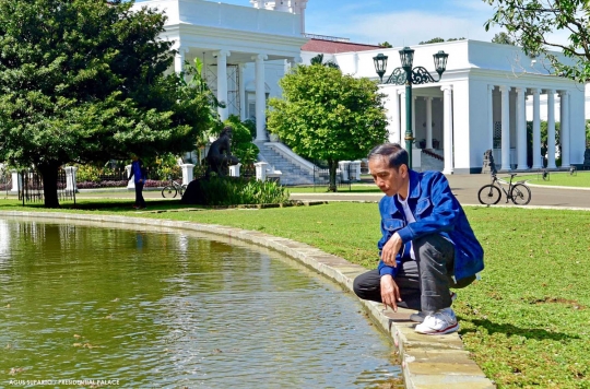 Presiden Jokowi sebar ratusan katak di Istana Bogor