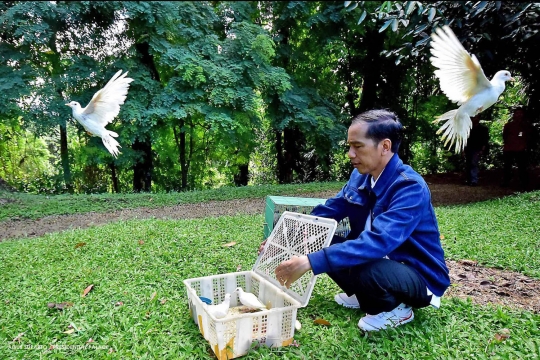 Presiden Jokowi sebar ratusan katak di Istana Bogor