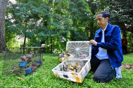 Presiden Jokowi sebar ratusan katak di Istana Bogor