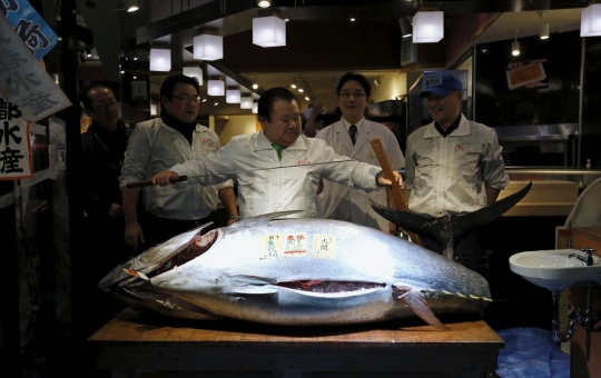 Fantastis, tuna sirip biru di Jepang ini laku Rp 1,6 miliar