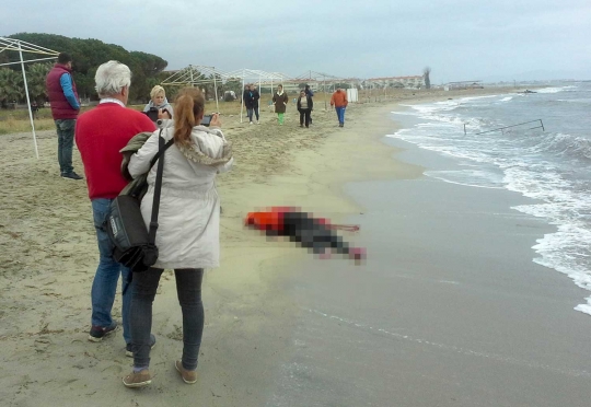 Puluhan mayat imigran terdampar di pantai Turki