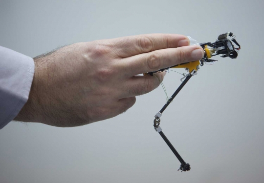 Israel bikin robot militer belalang
