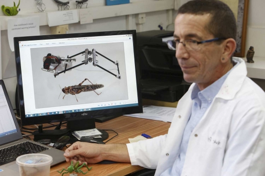 Israel bikin robot militer belalang
