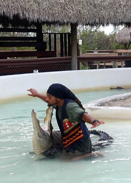 Aksi mendebarkan pegulat dan buaya di Miami