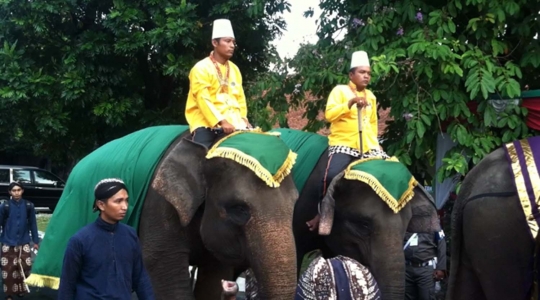 Kemeriahan kirab Jumenengan Paku Alam X