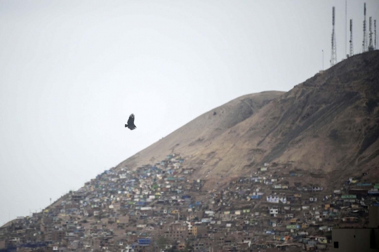 Inovatif, warga Peru gunakan burung nasar untuk deteksi sampah