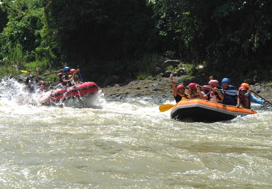 Serunya bertualang rafting menelusuri derasnya arus Sungai Cianten