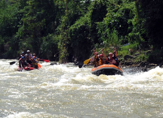 Serunya bertualang rafting menelusuri derasnya arus Sungai Cianten