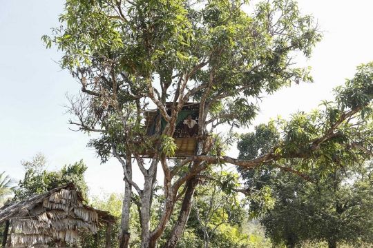 Diserang kawanan gajah liar, warga Myanmar bangun rumah pohon