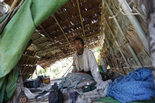 Diserang kawanan gajah liar, warga Myanmar bangun rumah pohon