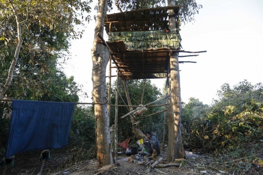Diserang kawanan gajah liar, warga Myanmar bangun rumah pohon