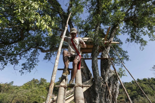 Diserang kawanan gajah liar, warga Myanmar bangun rumah pohon