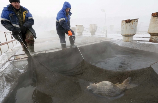 Sensasi menambak ikan di danau bersuhu udara -29 derajat celsius