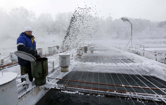 Sensasi menambak ikan di danau bersuhu udara -29 derajat celsius