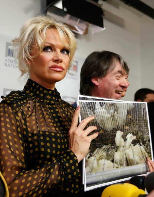 Pamela Anderson protes penyiksaan bebek untuk produksi makanan mewah