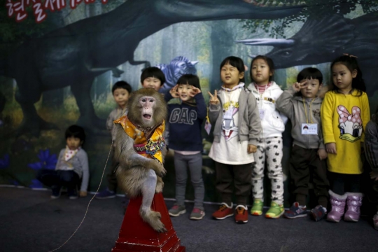 Sekolah di Korea Selatan ini semua anak didiknya monyet