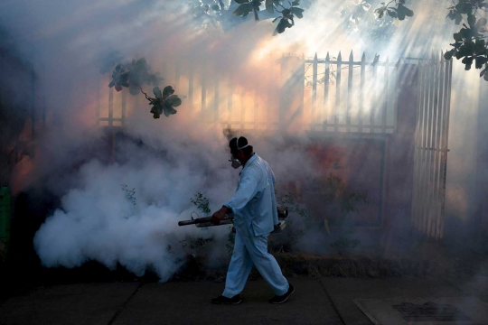 Amerika Latin gencar cegah penyebaran Virus Zika