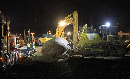 Alat berat evakuasi Paus Sperma 30 ton di pantai Inggris