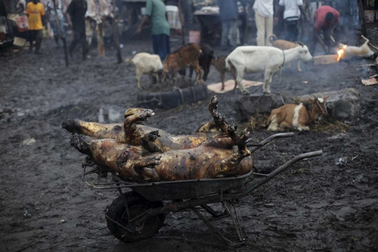 Berbelanja daging di pasar jagal yang kumuh, bau dan becek