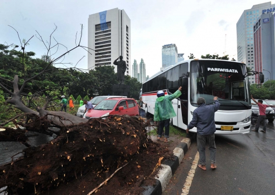 Pohon tumbang di Jalan Sudirman, lalu lintas macet hingga 5 Km