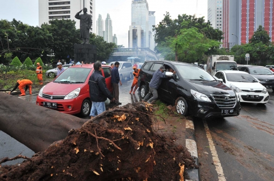 Pohon tumbang di Jalan Sudirman, lalu lintas macet hingga 5 Km