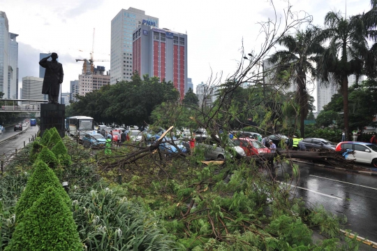 Pohon tumbang di Jalan Sudirman, lalu lintas macet hingga 5 Km