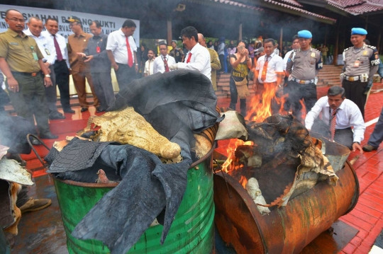 Puluhan kulit satwa langka dimusnahkan di lapangan Mabes Polri