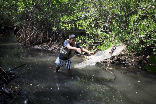 Ikan ini cegah penyebaran Virus Zika