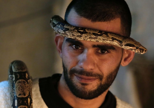 Aksi pria Palestina bersama ular-ular yang mengerikan