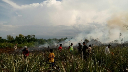 Ini lahan di Dumai yang ludes terbakar gara-gara puntung rokok