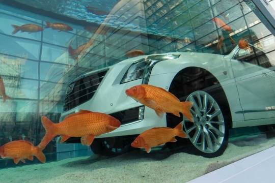 Unik, mobil ini dipamerkan di dalam akuarium penuh ratusan ikan