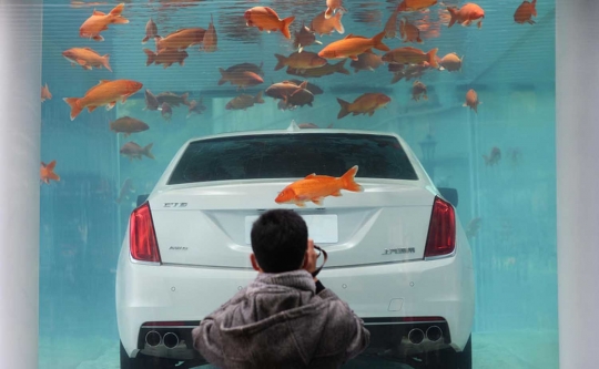 Unik, mobil ini dipamerkan di dalam akuarium penuh ratusan ikan