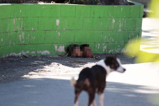 Perang antar-gangster, warga El Salvador temukan potongan kepala