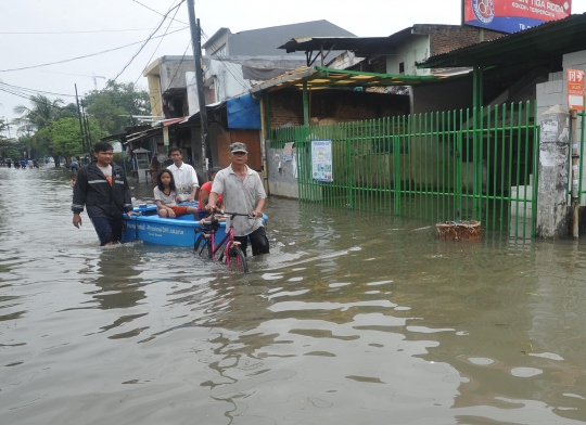 Banjir satu meter rendam Rawa Buaya