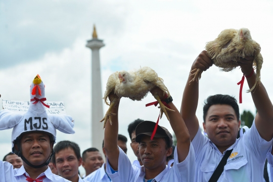 Harga ayam anjlok, ribuan peternak demo di depan Istana