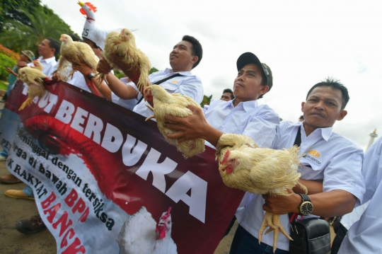 Harga ayam anjlok, ribuan peternak demo di depan Istana