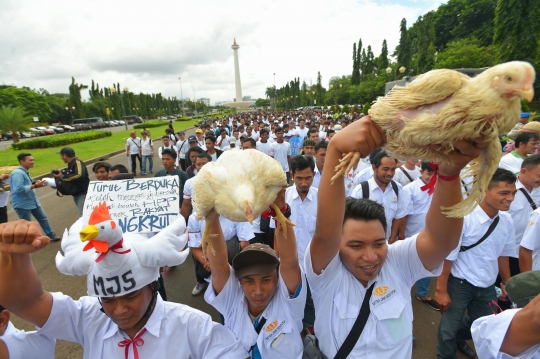 Harga ayam anjlok, ribuan peternak demo di depan Istana