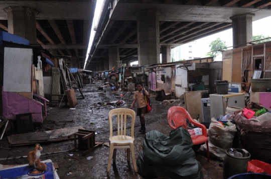 Penggusuran ratusan bangunan liar di kolong Tol Pluit