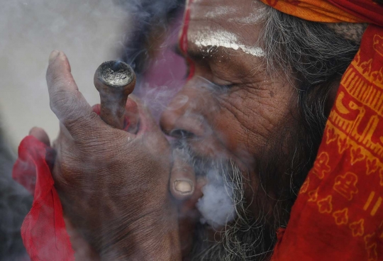 Festival hindu ini gunakan ganja sebagai ritual persembahan