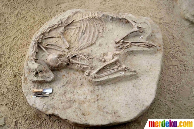  Foto  Penemuan  pemakaman kuno dari tahun 300 Masehi di 