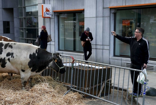 Protes harga rendah, petani bikin kandang ternak di tengah jalan